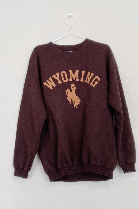 Thrifted Wyoming Brown Sweatshirt - Size Large