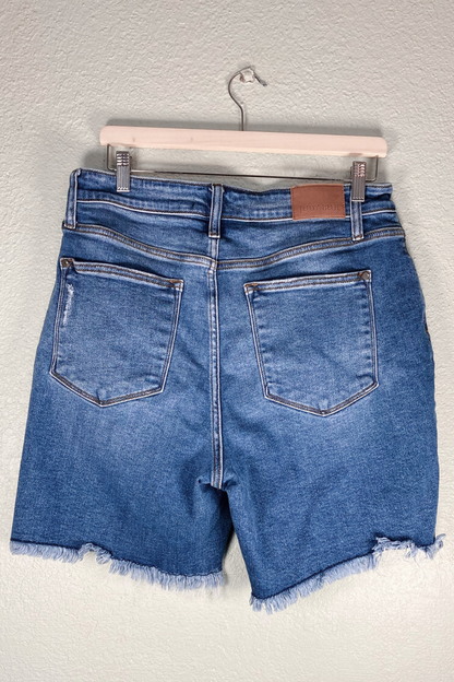 Thrifted Judy Blue Shorts - Size 1XL